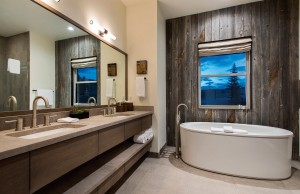 Ranch style bathroom with organic tub and wooden background