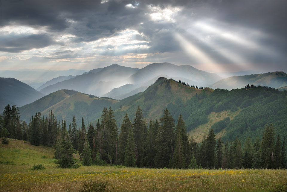 A Look at Fine Art- Park City Willie Holdman Crest Trail Rays 