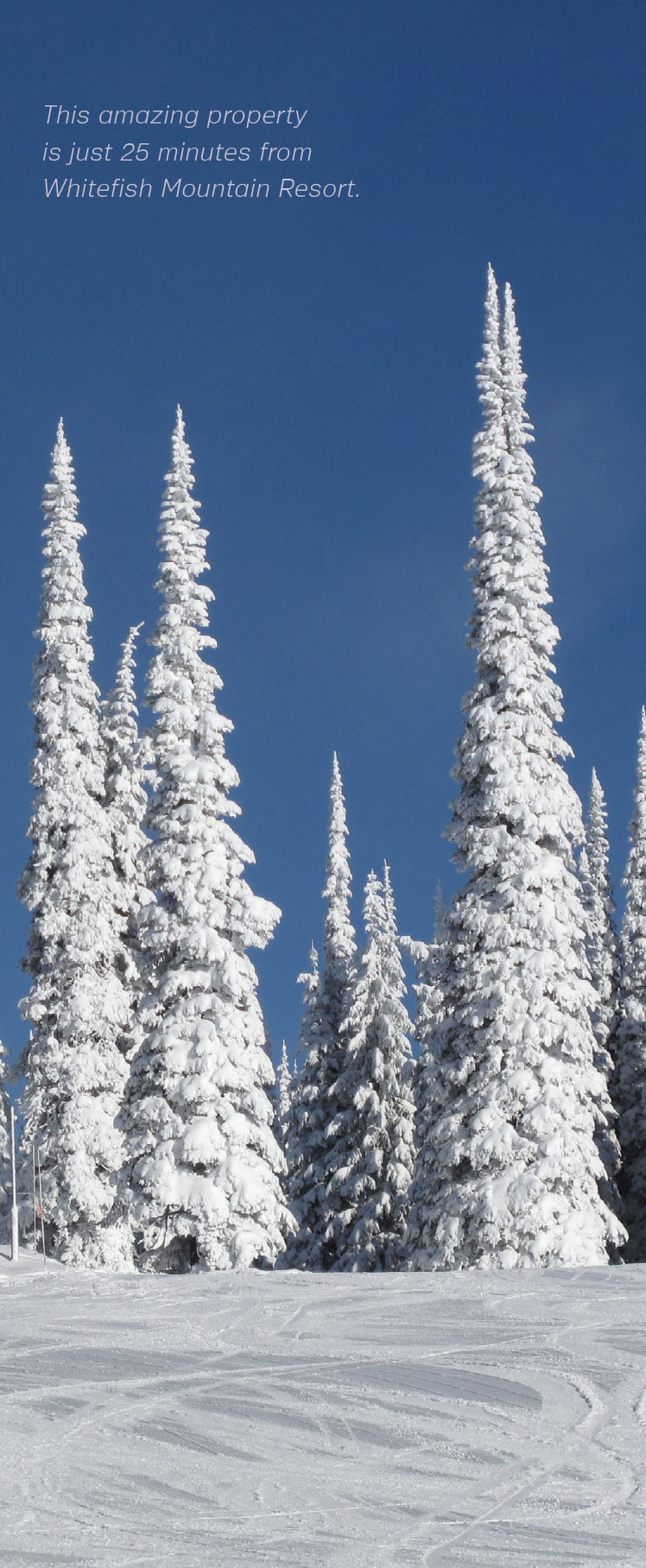 A Luxury Listing in the Place We Call Home- Flathead Valley Snow Trees